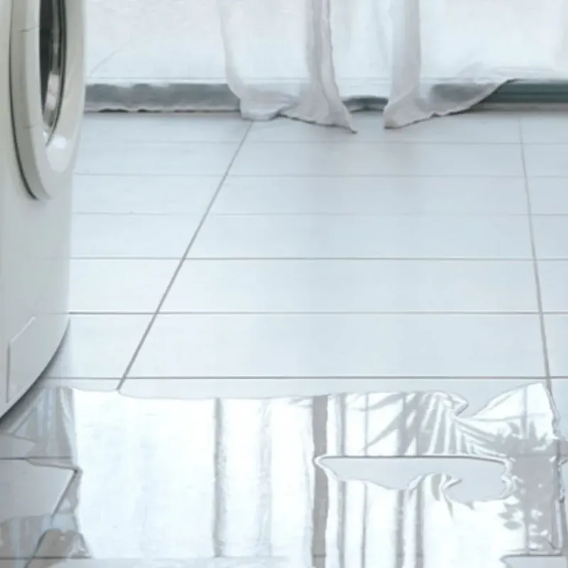 Appliance Leak Cleanup in Willow Park, TX